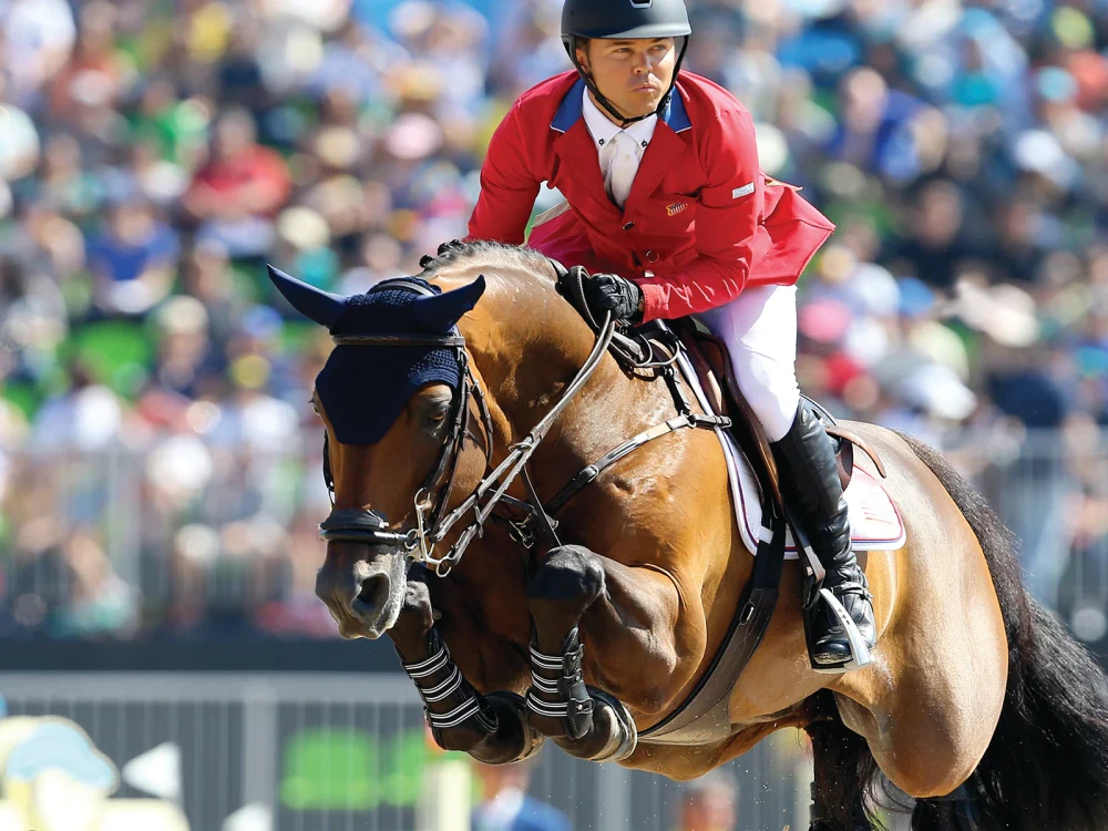 A rider and horse at a showjumping event.